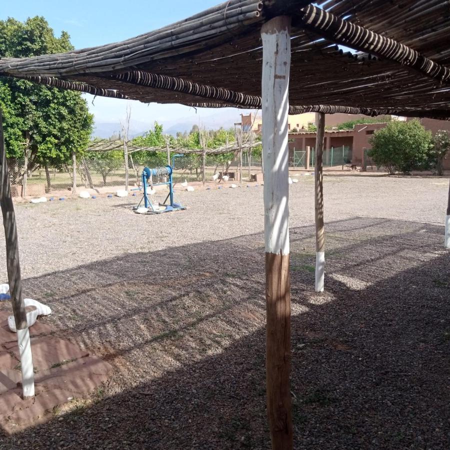Villa Ferme Berbere Marrakesh Ngoại thất bức ảnh